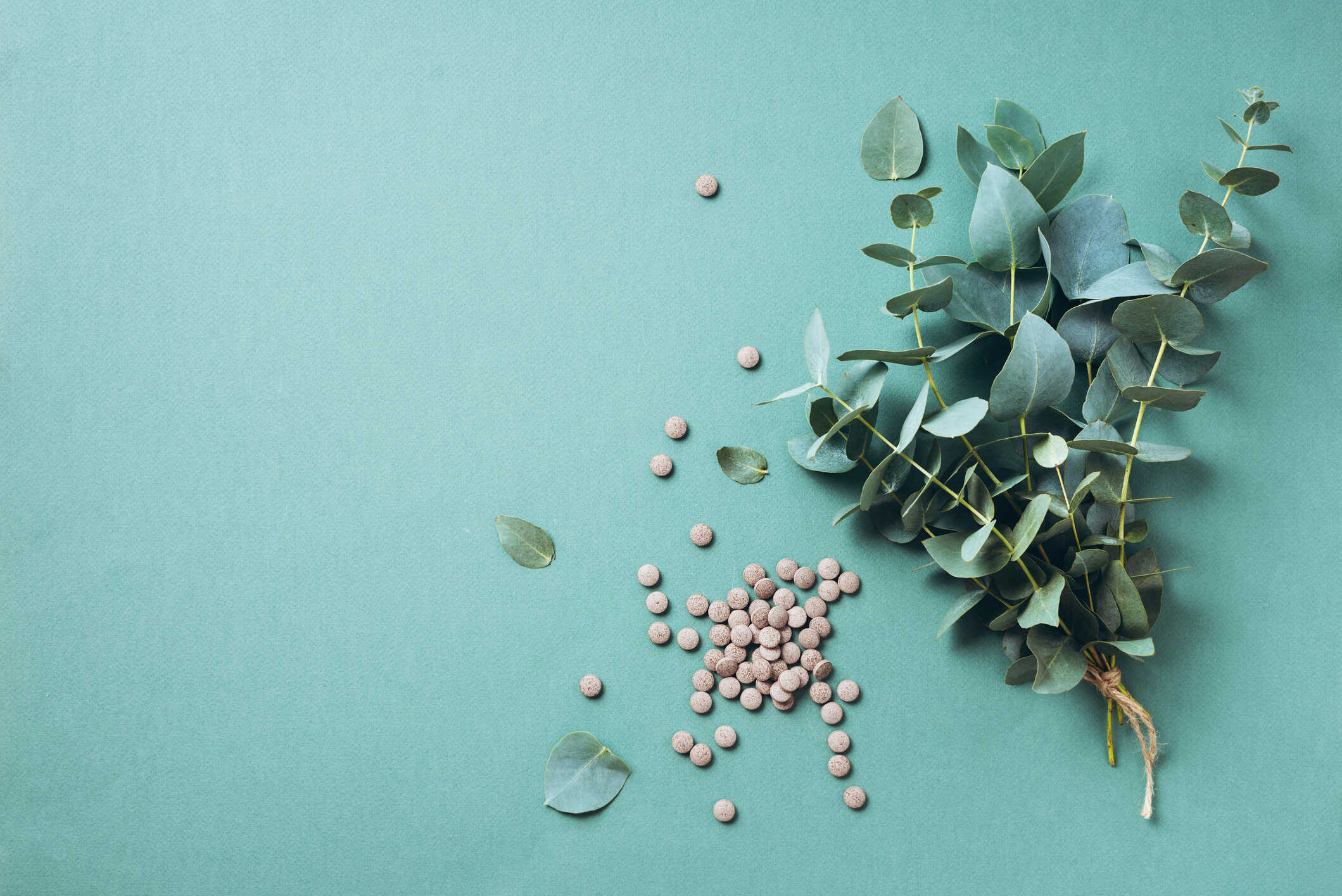 Parasite Cleanse mindbodysoul