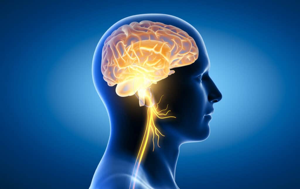 Vagus Nerve | mindbodysoul holistic health