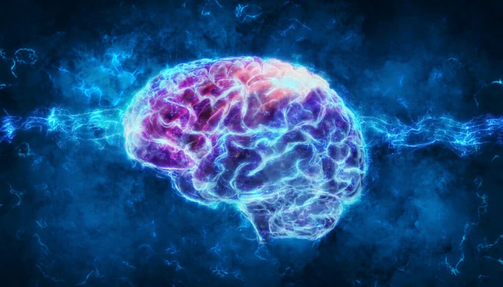 Brain Regeneration | mindbodysoul holistic health