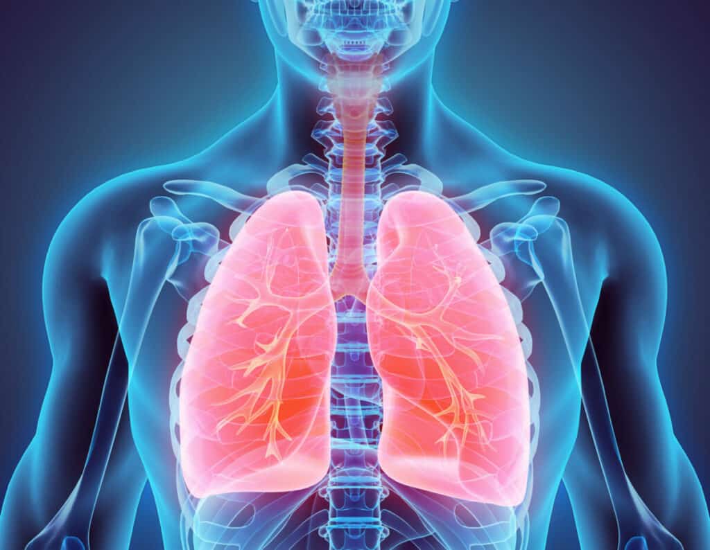 Healthy Lungs | mindbodysoul holistic health